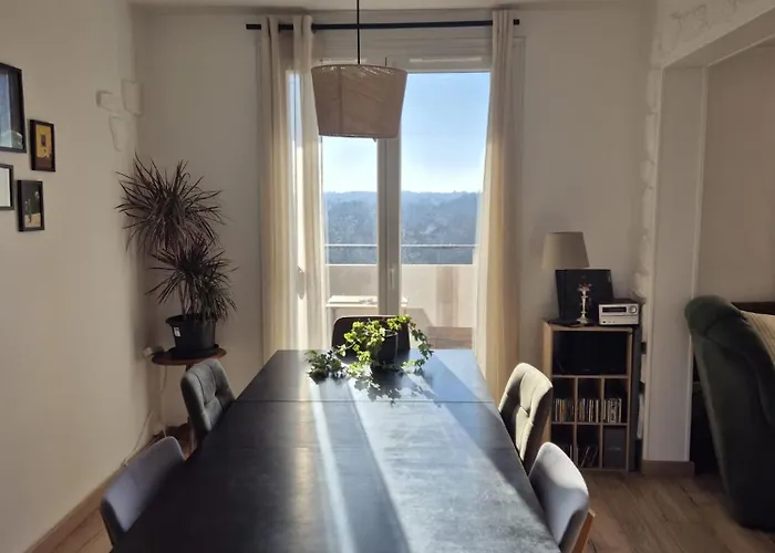 Daire Lumineux Avec Balcons Et Tram Au Pied *