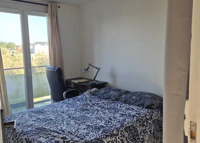 Daire Lumineux Avec Balcons Et Tram Au Pied