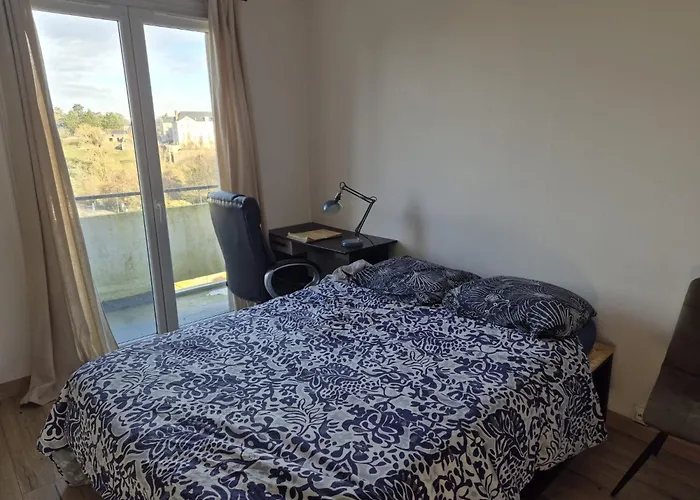 Lumineux Avec Balcons Et Tram Au Pied Daire *