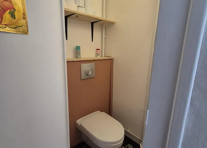 Lumineux Avec Balcons Et Tram Au Pied Angers